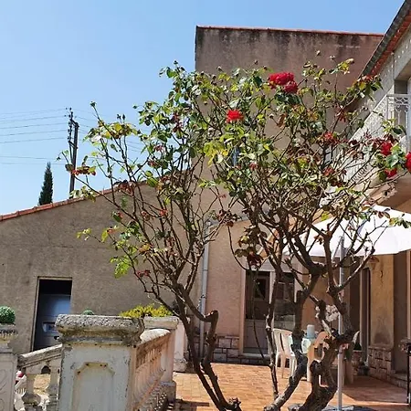 ヴィラ La Casa De Margarita Y Sisco, Avec Piscine カルカソンヌ