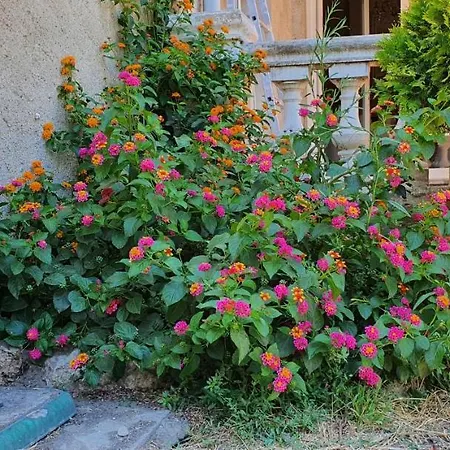 فيلة La Casa De Margarita Y Sisco, Avec Piscine *