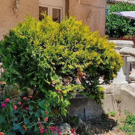 La Casa De Margarita Y Sisco, Avec Piscine カルカソンヌ